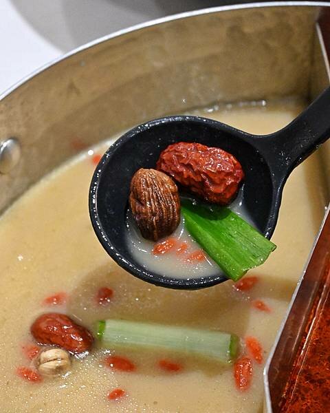 花花世界鍋物WHATSWORLDresort∥左營區美食∥浮誇華麗龍蝦海鮮套餐∥叢林風用餐環境∥打卡送鮮蠔或哈根達斯