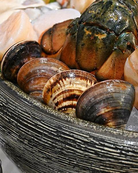 花花世界鍋物WHATSWORLDresort∥左營區美食∥浮誇華麗龍蝦海鮮套餐∥叢林風用餐環境∥打卡送鮮蠔或哈根達斯