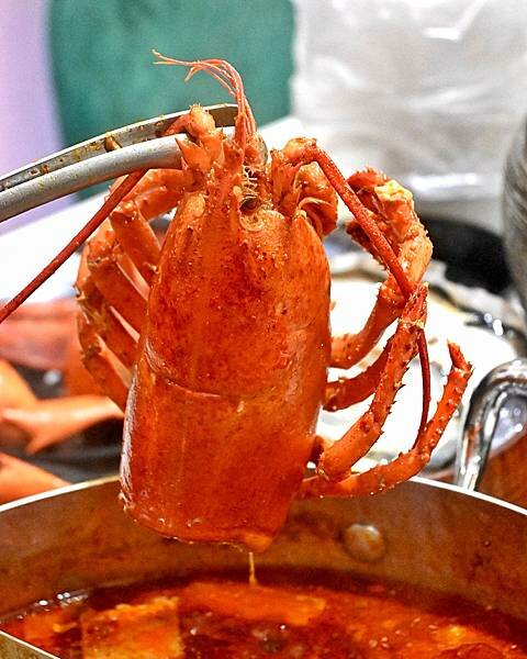 花花世界鍋物WHATSWORLDresort∥左營區美食∥浮誇華麗龍蝦海鮮套餐∥叢林風用餐環境∥打卡送鮮蠔或哈根達斯