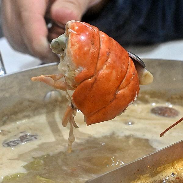 花花世界鍋物WHATSWORLDresort∥左營區美食∥浮誇華麗龍蝦海鮮套餐∥叢林風用餐環境∥打卡送鮮蠔或哈根達斯