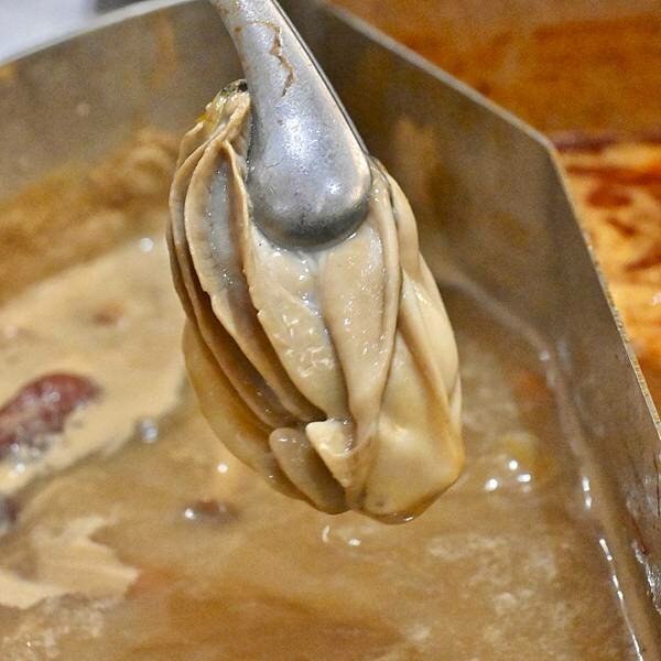 花花世界鍋物WHATSWORLDresort∥左營區美食∥浮誇華麗龍蝦海鮮套餐∥叢林風用餐環境∥打卡送鮮蠔或哈根達斯