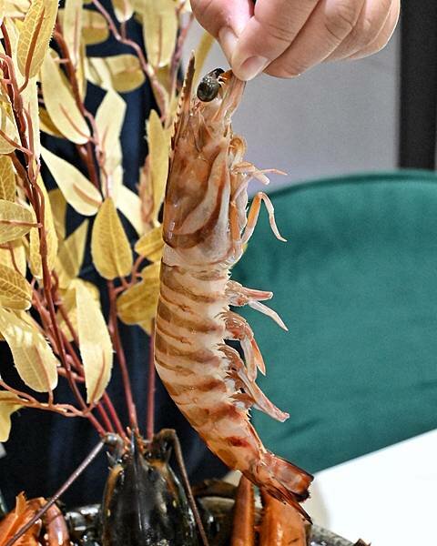 花花世界鍋物WHATSWORLDresort∥左營區美食∥浮誇華麗龍蝦海鮮套餐∥叢林風用餐環境∥打卡送鮮蠔或哈根達斯