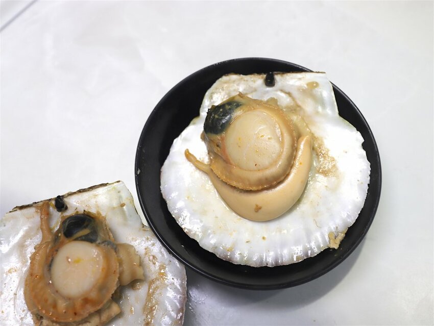 花花世界鍋物WHATSWORLDresort -高雄左營旗艦店-火鍋界中的唯一奇葩：台南知名網美火鍋店插旗高雄啦!!!振興五倍券方案吃大餐送2000.超優惠! - 進食的巨鼠