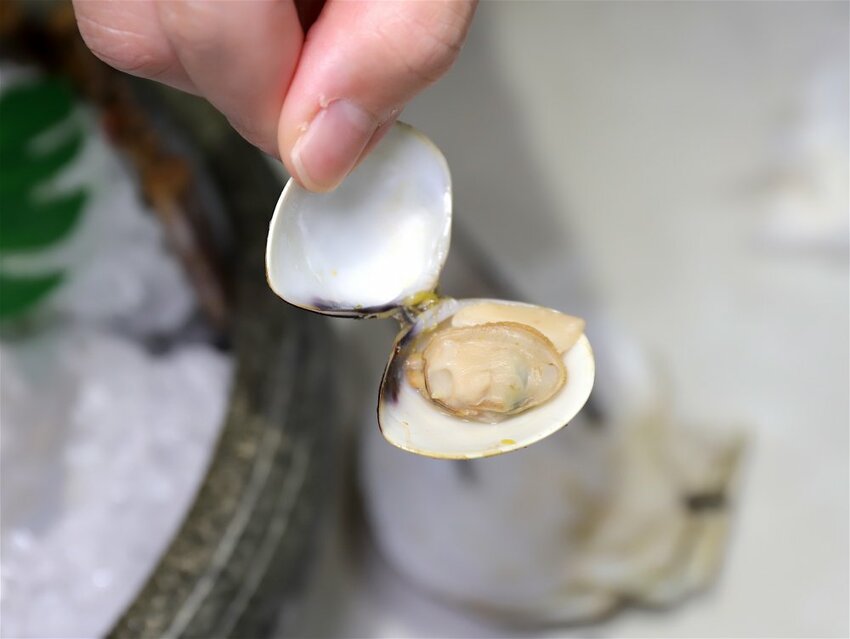 花花世界鍋物WHATSWORLDresort -高雄左營旗艦店-火鍋界中的唯一奇葩：台南知名網美火鍋店插旗高雄啦!!!振興五倍券方案吃大餐送2000.超優惠! - 進食的巨鼠