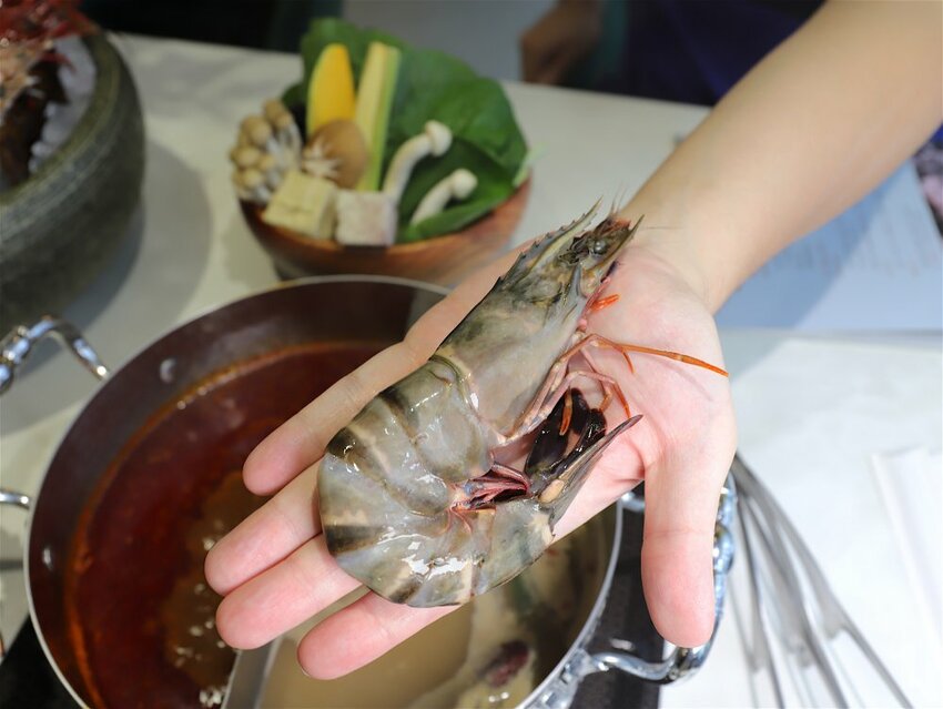 花花世界鍋物WHATSWORLDresort -高雄左營旗艦店-火鍋界中的唯一奇葩：台南知名網美火鍋店插旗高雄啦!!!振興五倍券方案吃大餐送2000.超優惠! - 進食的巨鼠