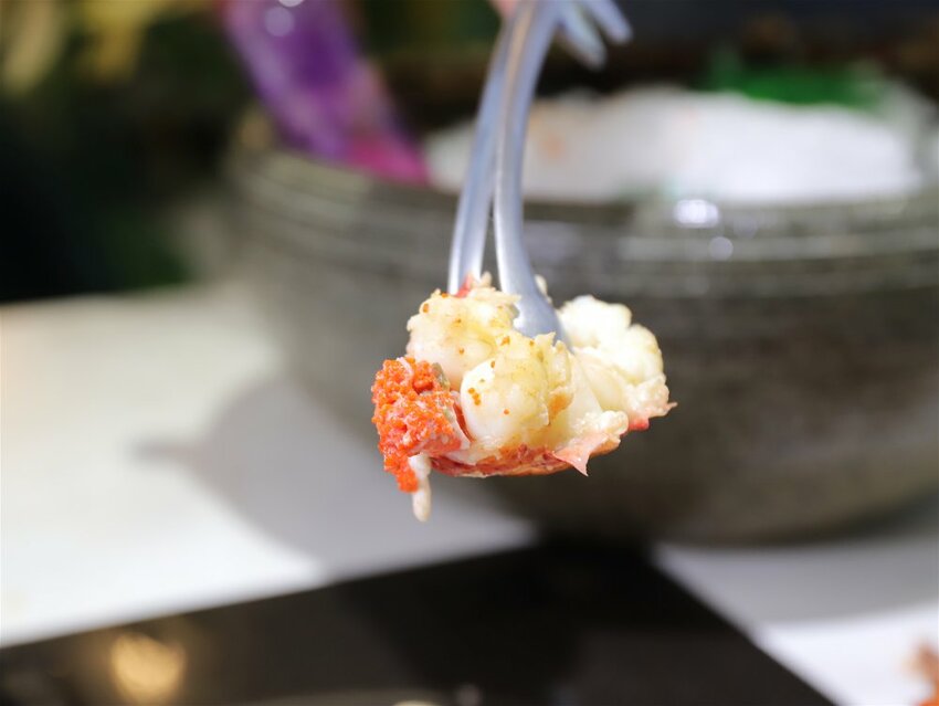 花花世界鍋物WHATSWORLDresort -高雄左營旗艦店-火鍋界中的唯一奇葩：台南知名網美火鍋店插旗高雄啦!!!振興五倍券方案吃大餐送2000.超優惠! - 進食的巨鼠