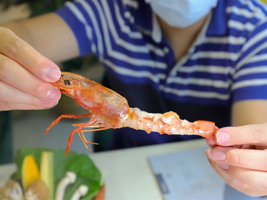 花花世界鍋物WHATSWORLDresort -高雄左營旗艦店-火鍋界中的唯一奇葩：台南知名網美火鍋店插旗高雄啦!!!振興五倍券方案吃大餐送2000.超優惠! - 進食的巨鼠