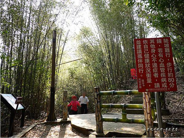 羅浮遊客中心後方往義興吊橋步道 (7).jpg