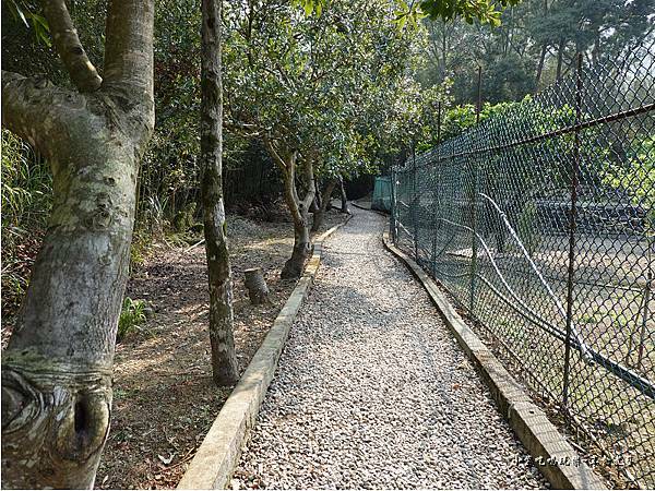 羅浮遊客中心後方往義興吊橋步道 (2).jpg