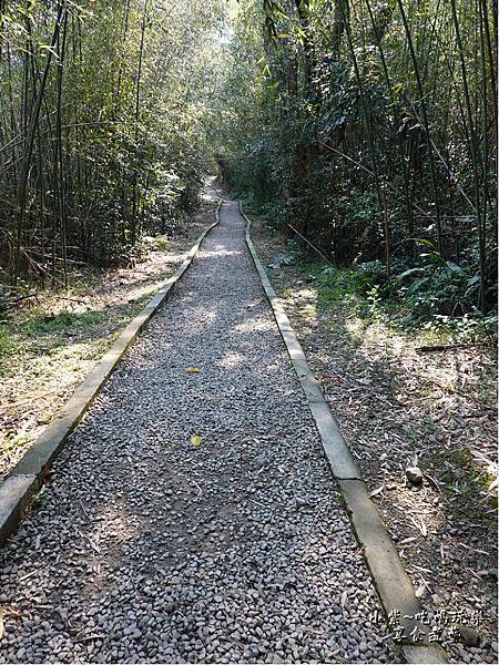 羅浮遊客中心後方往義興吊橋步道 (6).jpg