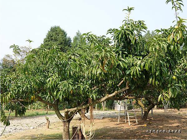 北橫哈杜希休閒農場 (1).jpg