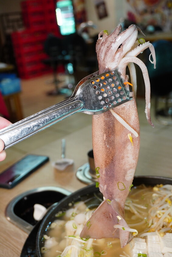 DSC07987.JPG DSC07987.JPG