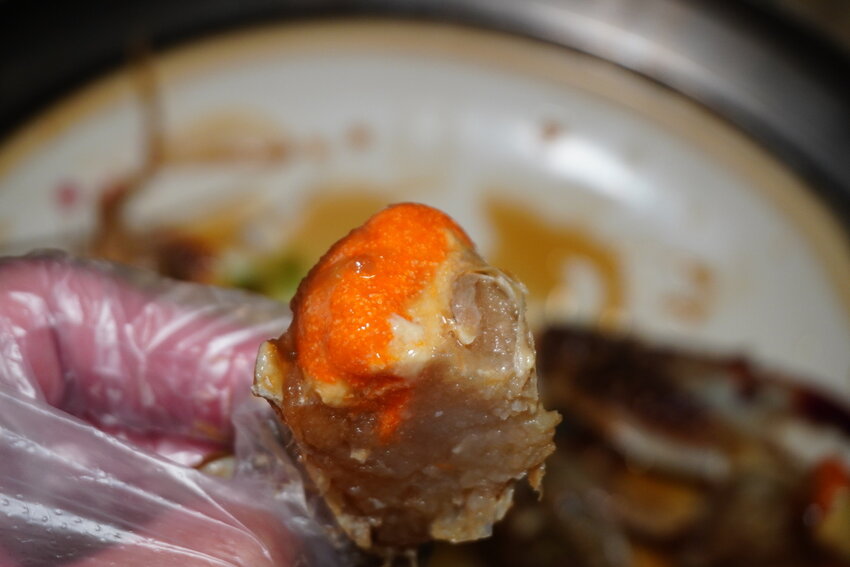 DSC08004.JPG DSC08004.JPG