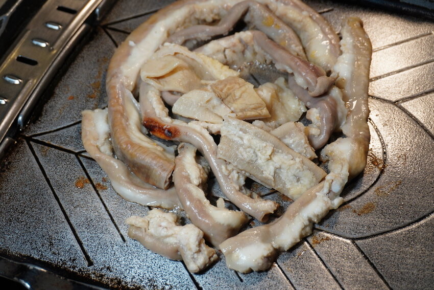 DSC08033.JPG DSC08033.JPG