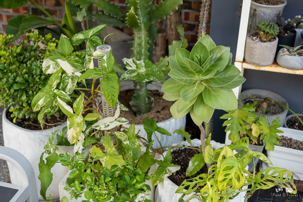 高雄咖啡館推薦！小啡巷 Coffee Alley質感咖啡館，捷運市議會站咖啡廳。