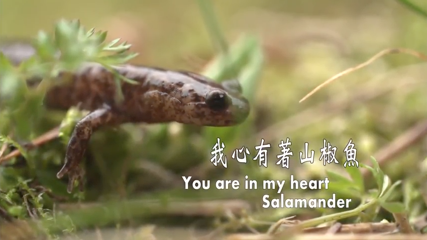 2021臺灣科學節/國立臺灣科學教育館系列活動/NO.189療癒行星系+實境解謎+科學市集嘉年華