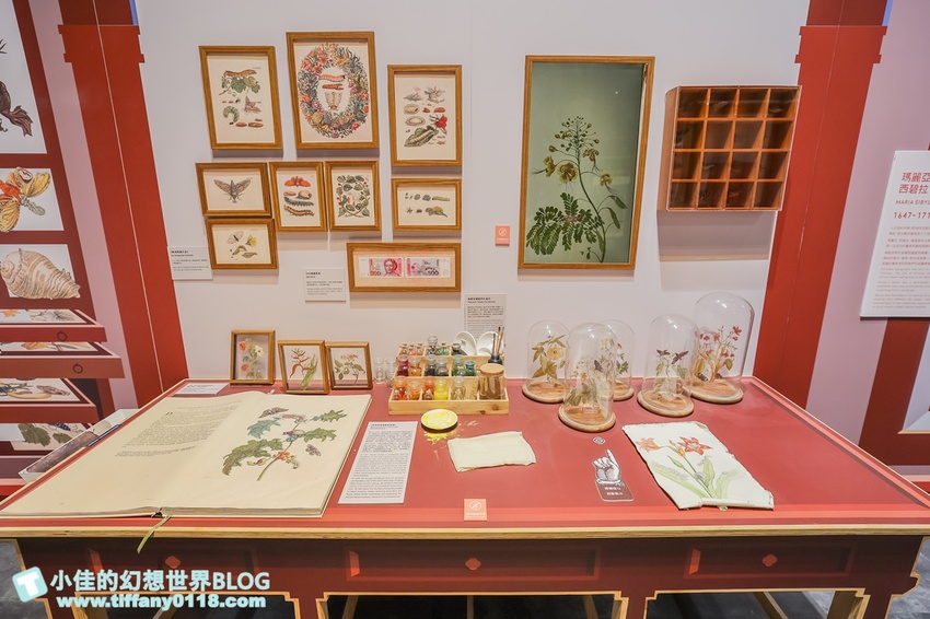 2021臺灣科學節/國立臺灣科學教育館系列活動/NO.189療癒行星系+實境解謎+科學市集嘉年華