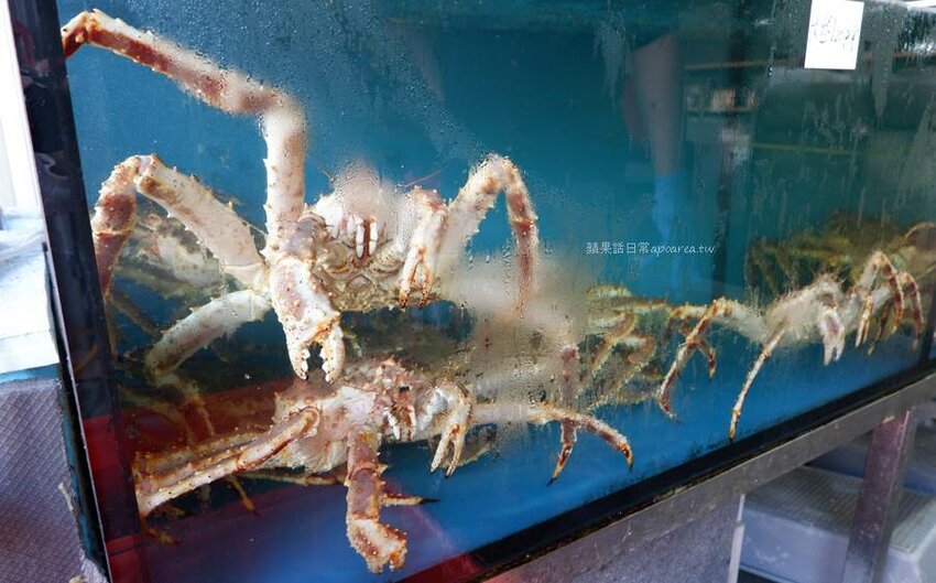 裕泰海產超市。帝王蟹、龍蝦、現切生魚片等高檔年菜這裡買，冷凍、活體海鮮專賣，環中路海鮮批發推薦 - 🍎 蘋果話日常🍎