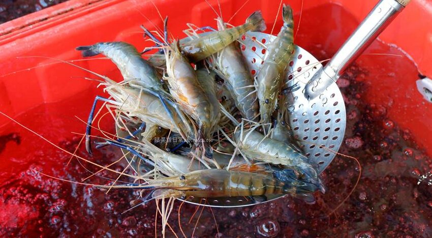 裕泰海產超市。帝王蟹、龍蝦、現切生魚片等高檔年菜這裡買，冷凍、活體海鮮專賣，環中路海鮮批發推薦 - 🍎 蘋果話日常🍎