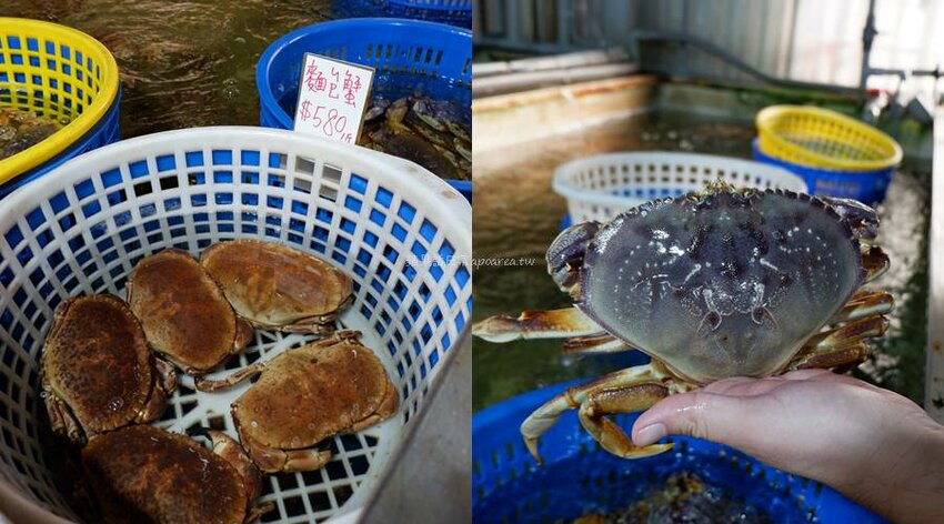 裕泰海產超市。帝王蟹、龍蝦、現切生魚片等高檔年菜這裡買，冷凍、活體海鮮專賣，環中路海鮮批發推薦 - 🍎 蘋果話日常🍎