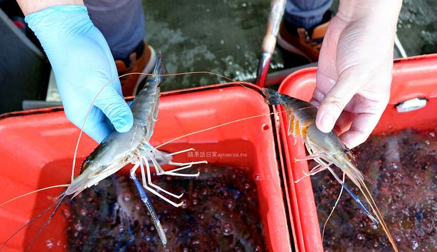 裕泰海產超市。帝王蟹、龍蝦、現切生魚片等高檔年菜這裡買，冷凍、活體海鮮專賣，環中路海鮮批發推薦 - 🍎 蘋果話日常🍎