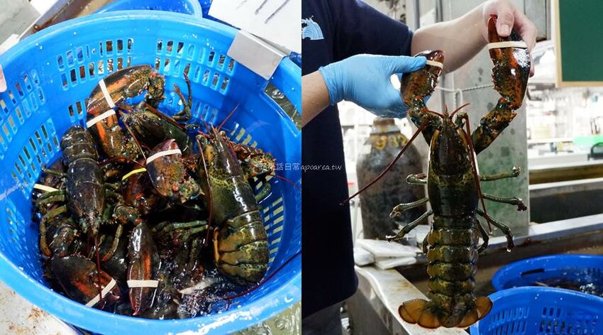 裕泰海產超市。帝王蟹、龍蝦、現切生魚片等高檔年菜這裡買，冷凍、活體海鮮專賣，環中路海鮮批發推薦 - 🍎 蘋果話日常🍎