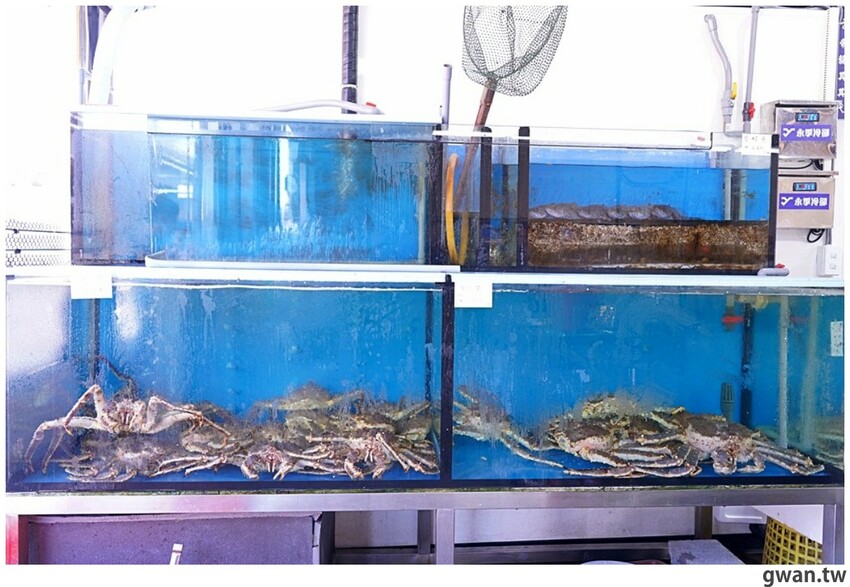 台中超好逛的水產超市在這裡，消費滿額加購蛤蜊只要11元！