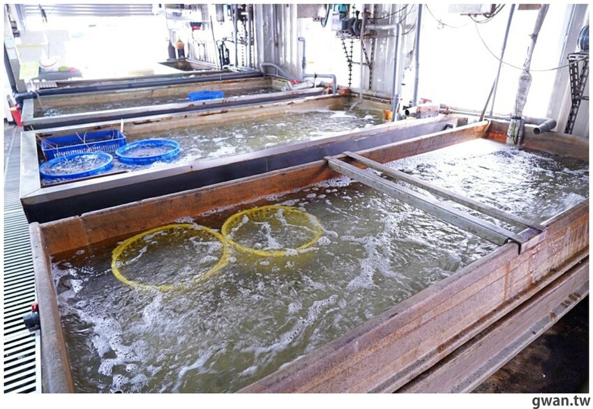 台中超好逛的水產超市在這裡，消費滿額加購蛤蜊只要11元！