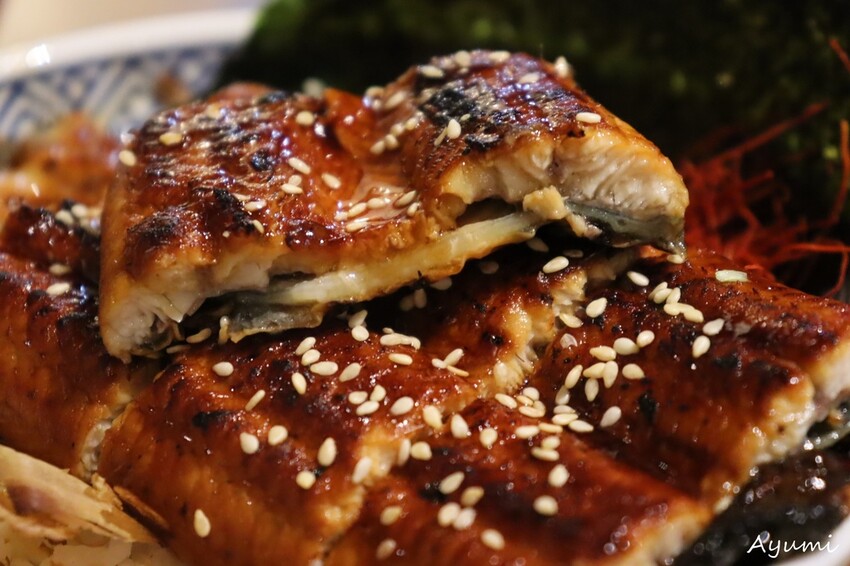 IMG_8847.JPG IMG_8847.JPG