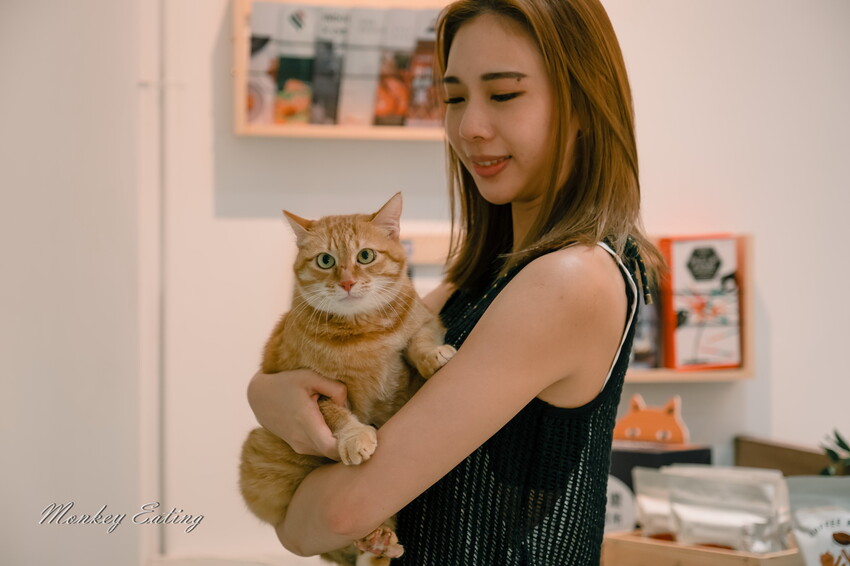 【台中北屯】MAWOO也有咖啡│不限時甜點下午茶,桌遊、空間租借。台中咖啡館推薦 - 貪吃猴的幻想