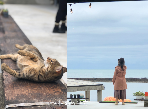 【新北美食】我們在海邊 台版海岸村恰恰恰 北海岸 三芝淺水灣 新開幕預約制無邊際海景療癒咖啡廳 PAPA在三芝的二店 芝蘭公園 (15)
