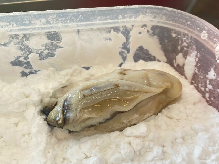 [台南中西區] 台南必吃日式串炸！福吉串炸 ｜超肥美的廣島牡蠣竟然只要40元？！必沾店家特製三種沾醬｜內附菜單