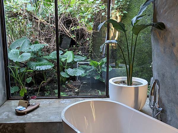 九份森林系植感民宿-神隱之森