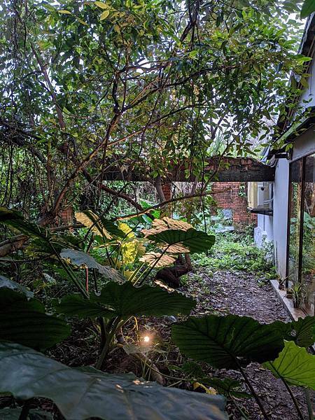 九份森林系植感民宿-神隱之森