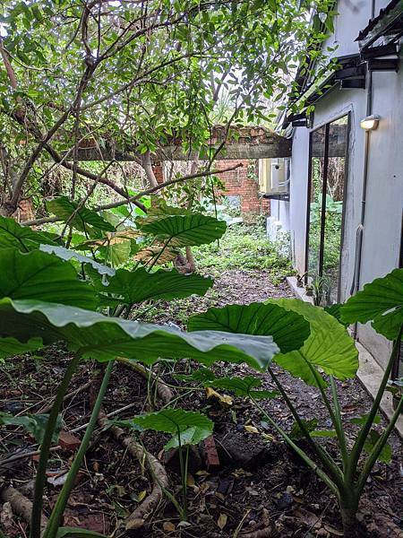 九份森林系植感民宿-神隱之森