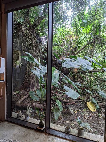 九份森林系植感民宿-神隱之森