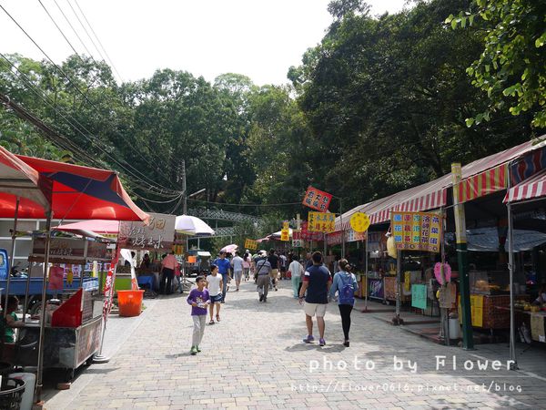 P1190419.jpg P1190419.jpg