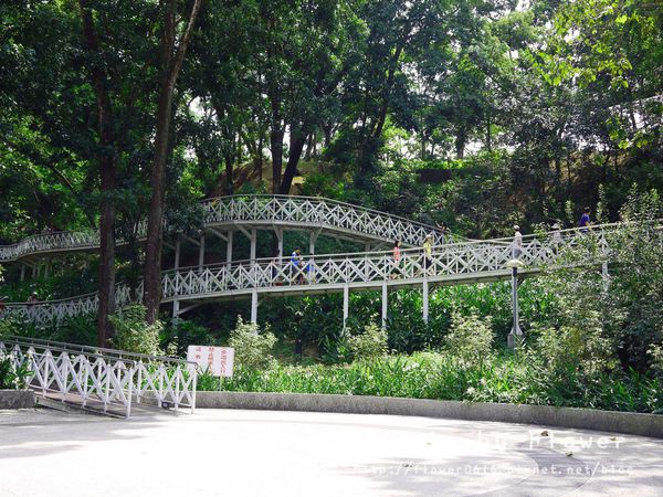 P1190422.jpg P1190422.jpg