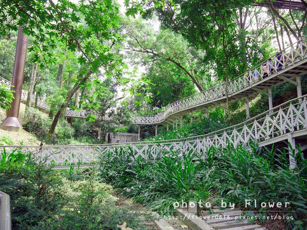 P1190426.jpg P1190426.jpg