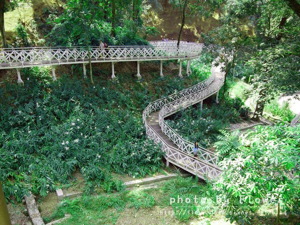 P1190439.jpg P1190439.jpg