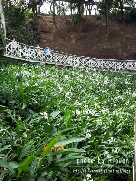 P1190431.jpg P1190431.jpg