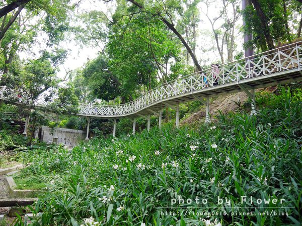 P1190430.jpg P1190430.jpg