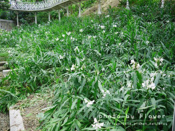 P1190428.jpg P1190428.jpg