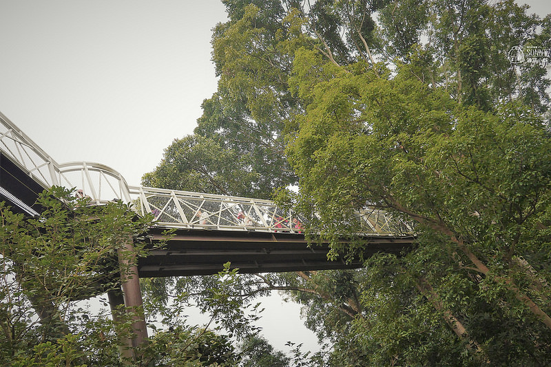 2018嘉義一日遊-竹崎親水公園+天空步道+竹崎火車站