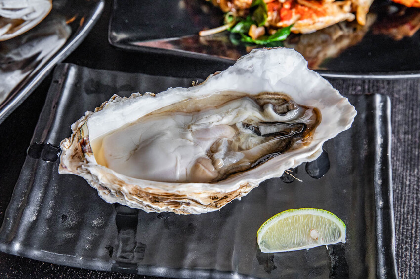 花蓮縣壽豐鄉屋銤海鮮｜一秒到泰國！海景配海鮮，無敵海景第一排海鮮餐廳