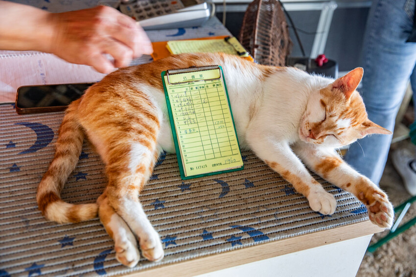花蓮縣壽豐鄉屋銤海鮮｜一秒到泰國！海景配海鮮，無敵海景第一排海鮮餐廳