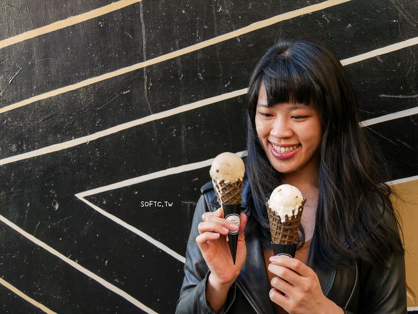 桃園平鎮美食推薦》冰獨．異式冰淇淋FREEZE ALONE●好拍好吃IG打卡冰淇淋店! 天然手工義式冰淇淋 - 軟西，遊記