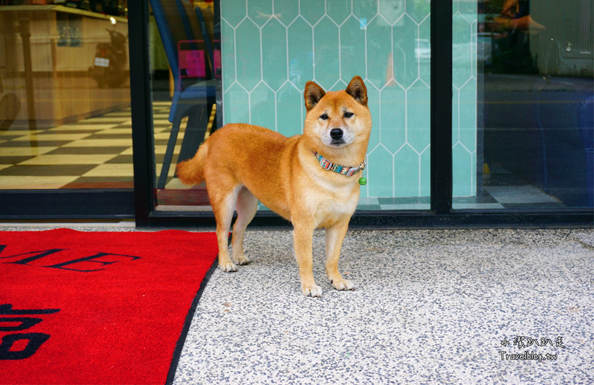 雲林火鍋推薦斗六美食。養鍋。高CP值鍋物寵物友善餐廳 飲料、冰淇淋吃到飽,適合團體聚餐! - 小潔趴趴走旅遊札記