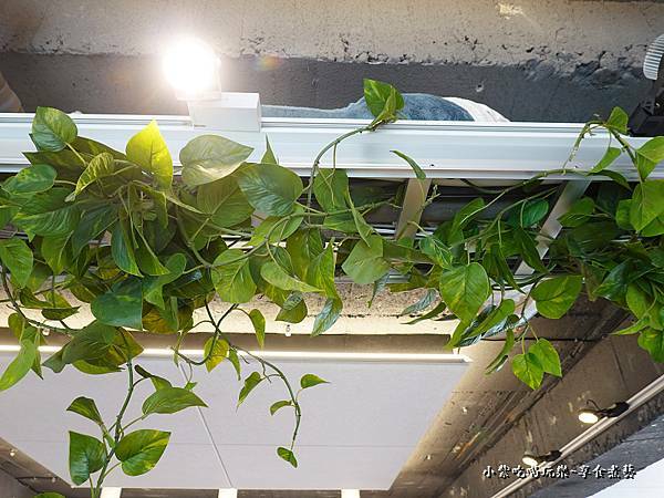 用餐環境-西門町樂野食 (12).jpg