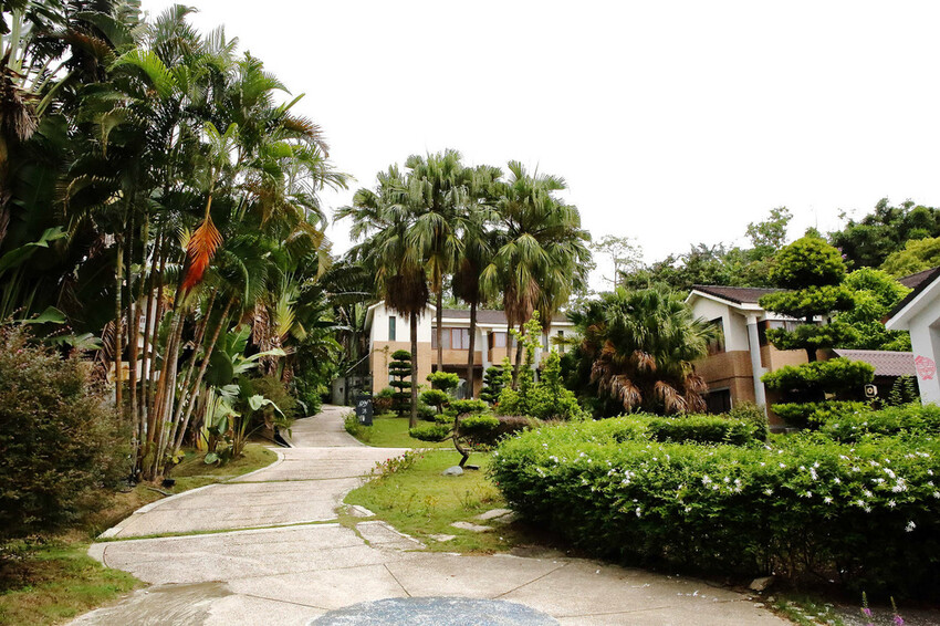 竹科寶山特區隱藏版茶餐廳，超美玻璃屋餐廳，好吃、好美、好好拍